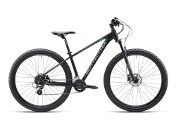 BOTTECCHIA 116
